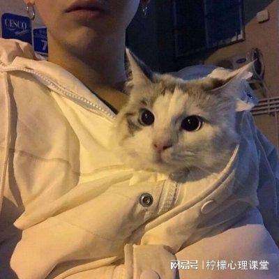 三国之旅无限金钱下载